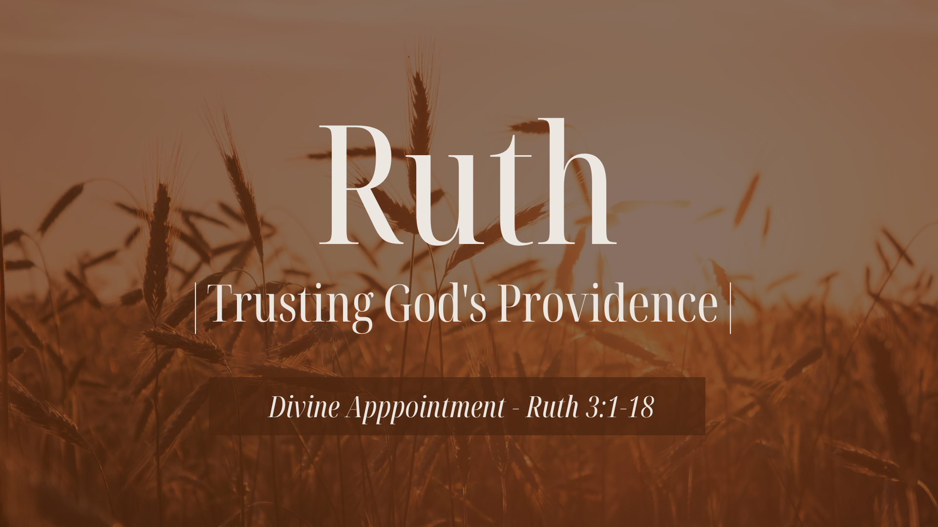 Ruth 3 – Divine Appointment