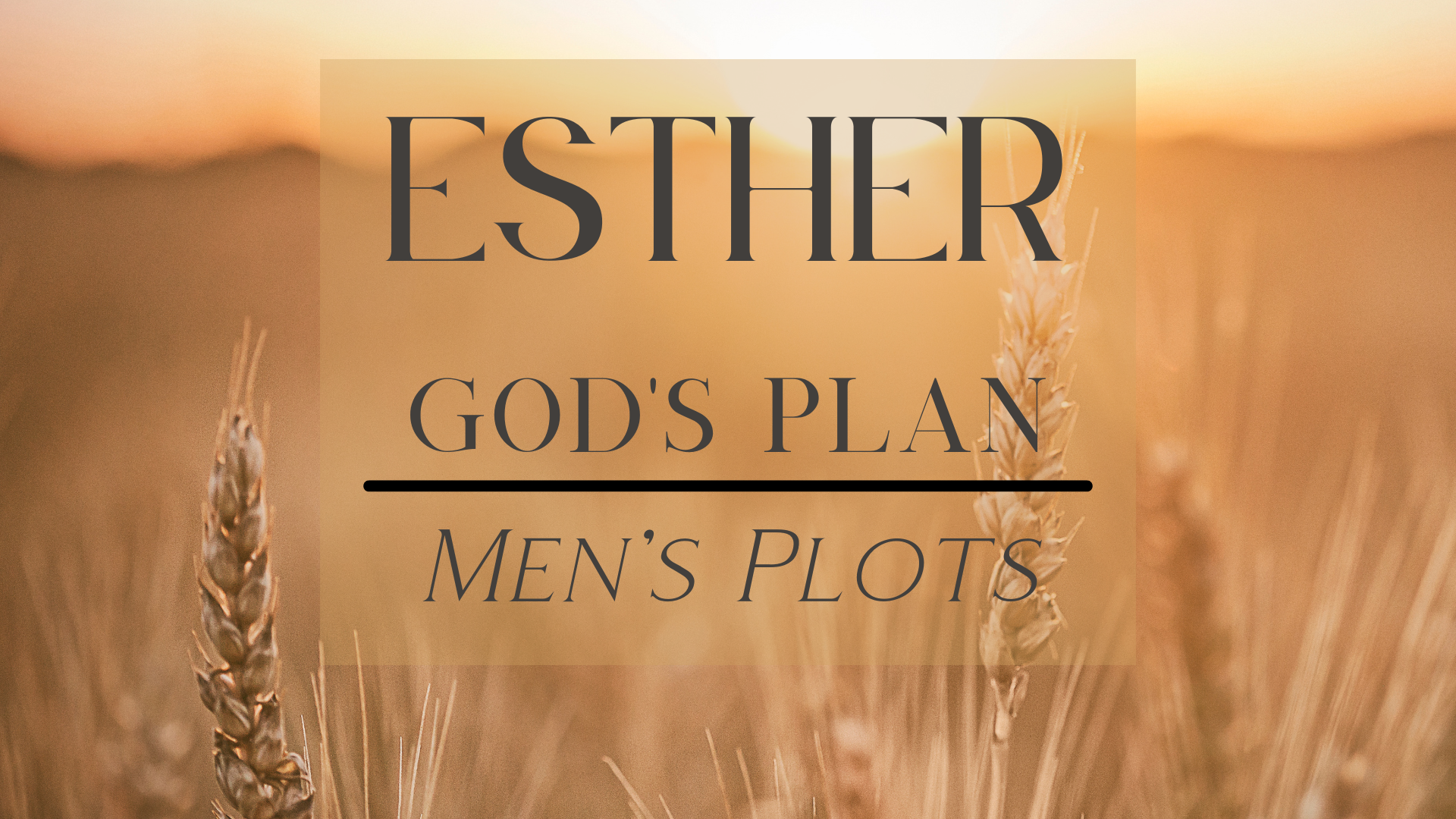 God’s plan, Man’s Plots – Esther 1-3