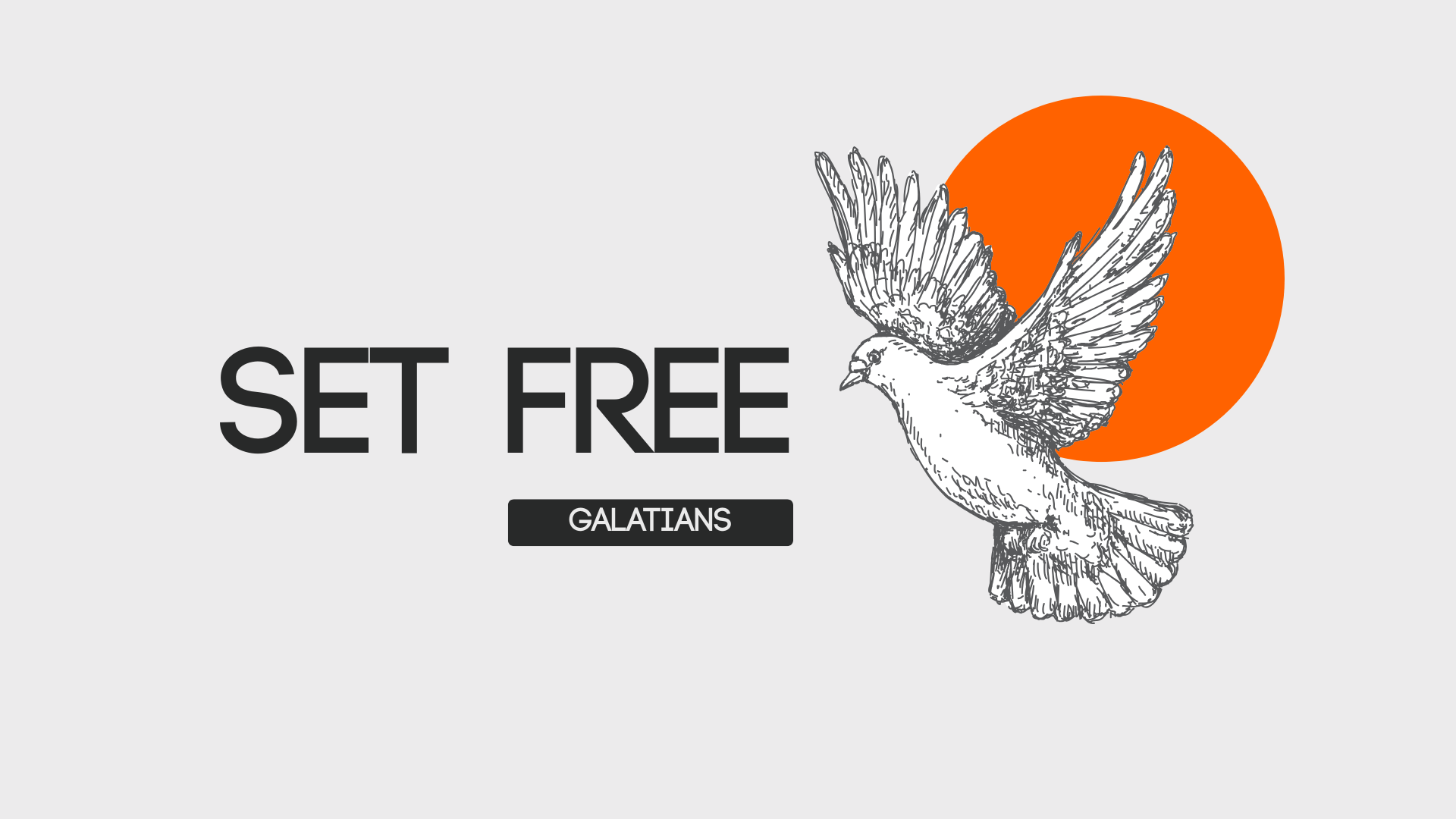 Set Free: Part 6 — It Is for Freedom That You Were Set Free